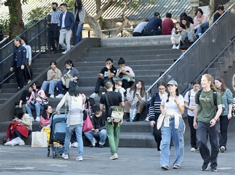 吹東南風|信風